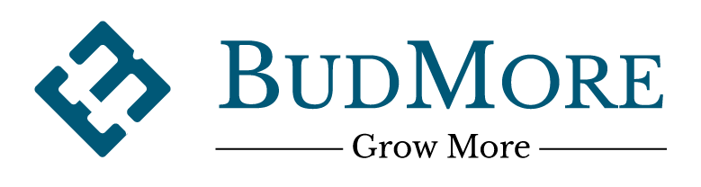 BUDMOREf
