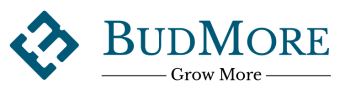BUDMOREf